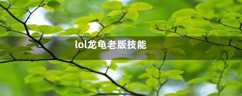 lol龙龟老版技能