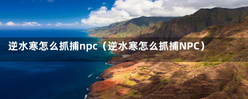 逆水寒怎么抓捕npc（逆水寒怎么抓捕NPC）