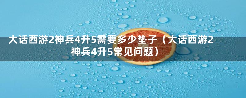 大话西游2神兵4升5需要多少垫子（大话西游2神兵4升5常见问题）