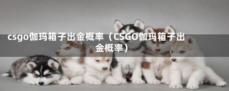 csgo伽玛箱子出金概率（CSGO伽玛箱子出金概率）