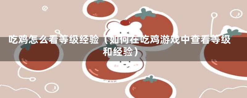 吃鸡怎么看等级经验（如何在吃鸡游戏中查看等级和经验）