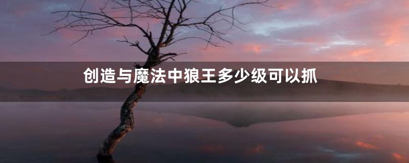 创造与魔法中狼王多少级可以抓