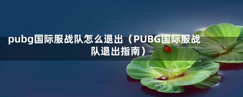 pubg国际服战队怎么退出（PUBG国际服战队退出指南）