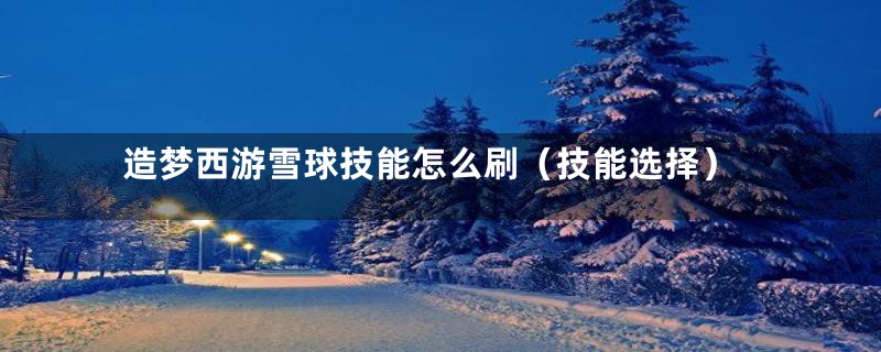 造梦西游雪球技能怎么刷（技能选择）