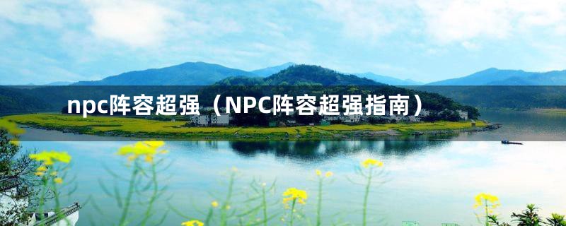 npc阵容超强（NPC阵容超强指南）