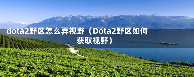 dota2野区怎么弄视野（Dota2野区如何获取视野）