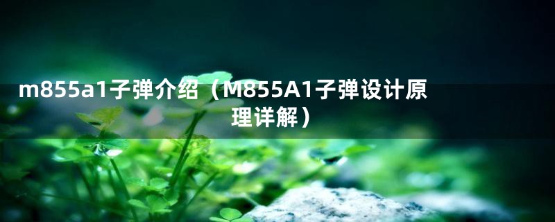 m855a1子弹介绍（M855A1子弹设计原理详解）