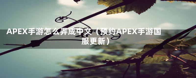 APEX手游怎么弄成中文（预约APEX手游国服更新）