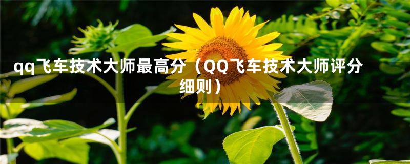 qq飞车技术大师最高分（QQ飞车技术大师评分细则）