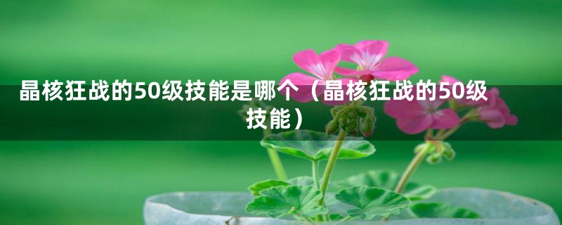 晶核狂战的50级技能是哪个（晶核狂战的50级技能）