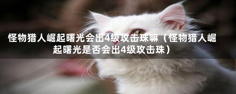 怪物猎人崛起曙光会出4级攻击珠嘛（怪物猎人崛起曙光是否会出4级攻击珠）