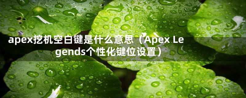 apex挖机空白键是什么意思（Apex Legends个性化键位设置）