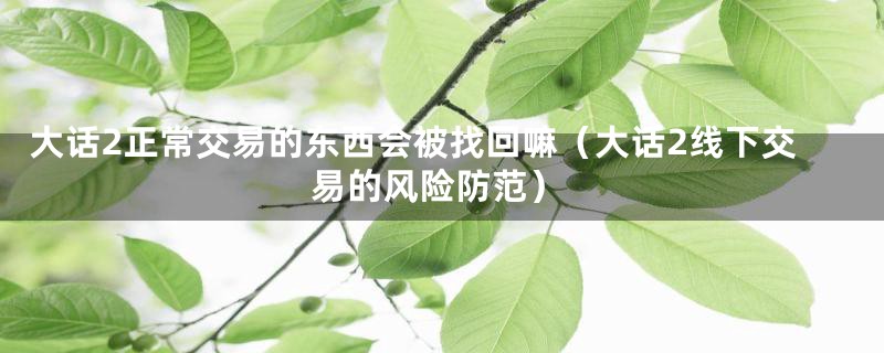 大话2正常交易的东西会被找回嘛（大话2线下交易的风险防范）