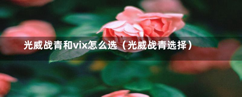 光威战青和vix怎么选（光威战青选择）