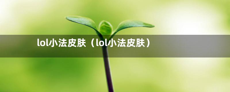 lol小法皮肤（lol小法皮肤）