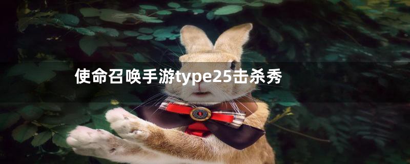 使命召唤手游type25击杀秀