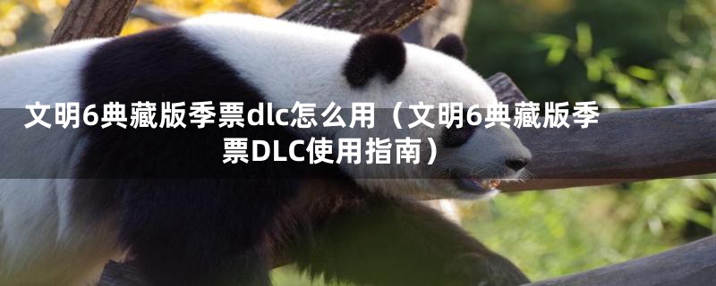 文明6典藏版季票dlc怎么用（文明6典藏版季票DLC使用指南）