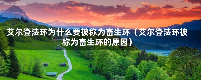 艾尔登法环为什么要被称为畜生环（艾尔登法环被称为畜生环的原因）