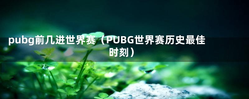 pubg前几进世界赛（PUBG世界赛历史最佳时刻）