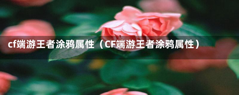 cf端游王者涂鸦属性（CF端游王者涂鸦属性）