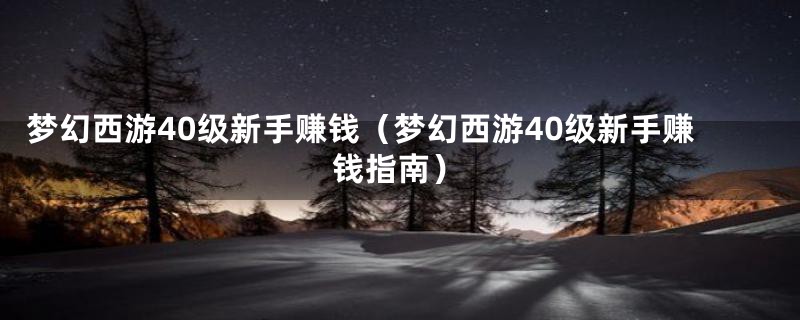 梦幻西游40级新手赚钱（梦幻西游40级新手赚钱指南）