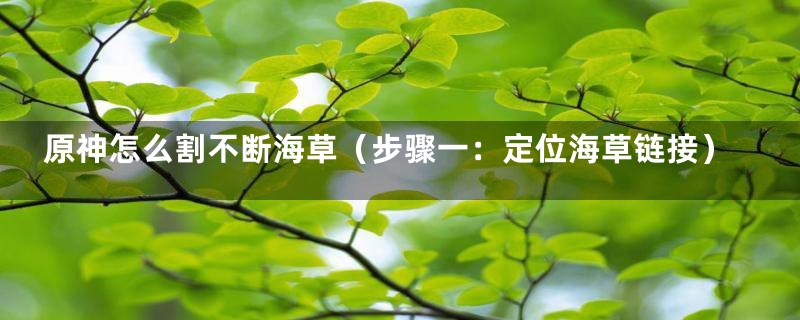 原神怎么割不断海草（步骤一：定位海草链接）