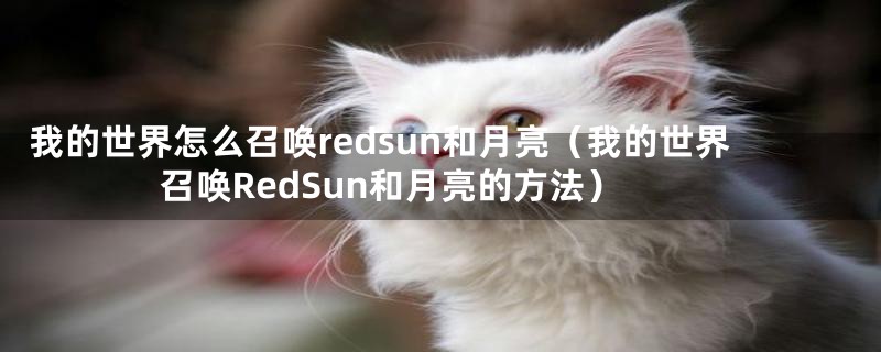 我的世界怎么召唤redsun和月亮（我的世界召唤RedSun和月亮的方法）