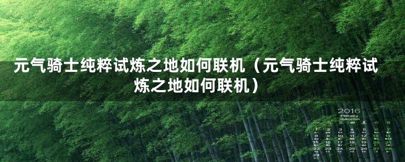 元气骑士纯粹试炼之地如何联机（元气骑士纯粹试炼之地如何联机）