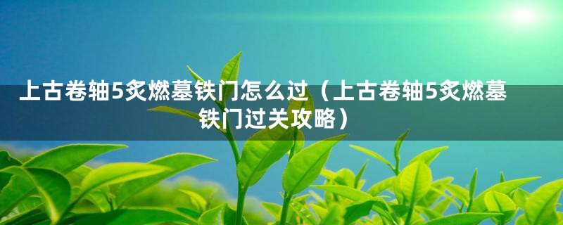 上古卷轴5炙燃墓铁门怎么过（上古卷轴5炙燃墓铁门过关攻略）