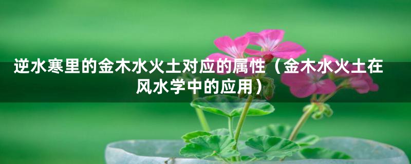 逆水寒里的金木水火土对应的属性（金木水火土在风水学中的应用）