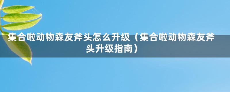 集合啦动物森友斧头怎么升级（集合啦动物森友斧头升级指南）