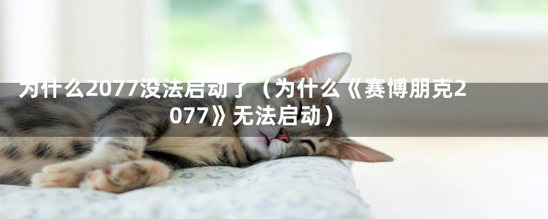 为什么2077没法启动了（为什么《赛博朋克2077》无法启动）