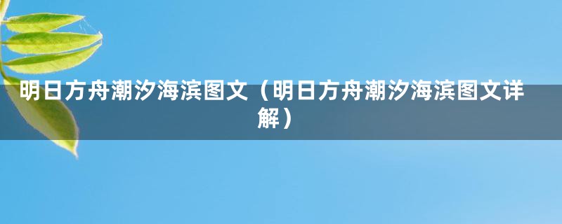 明日方舟潮汐海滨图文（明日方舟潮汐海滨图文详解）