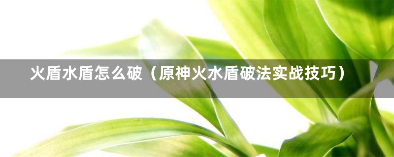 火盾水盾怎么破（原神火水盾破法实战技巧）