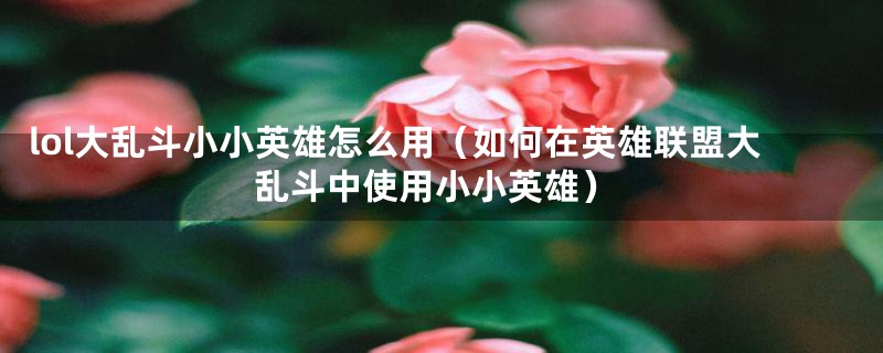 lol大乱斗小小英雄怎么用（如何在英雄联盟大乱斗中使用小小英雄）