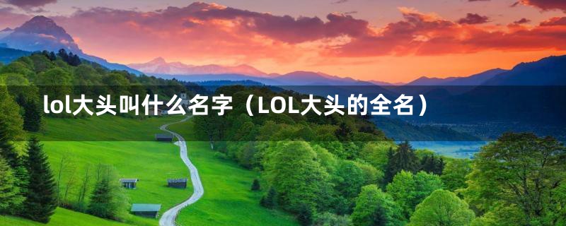 lol大头叫什么名字（LOL大头的全名）