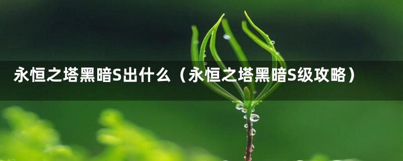 永恒之塔黑暗S出什么（永恒之塔黑暗S级攻略）