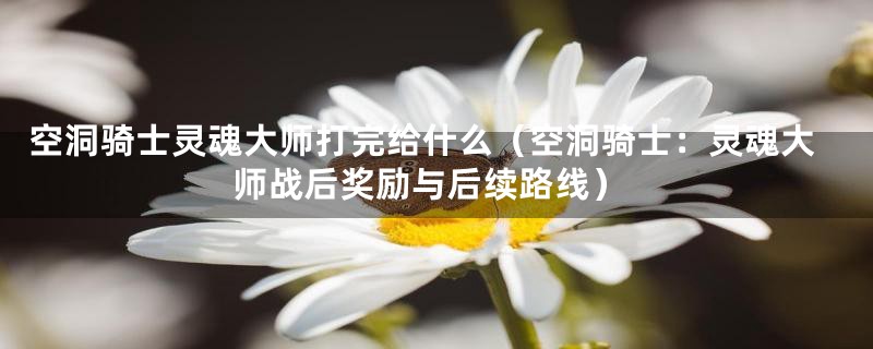 空洞骑士灵魂大师打完给什么（空洞骑士：灵魂大师战后奖励与后续路线）