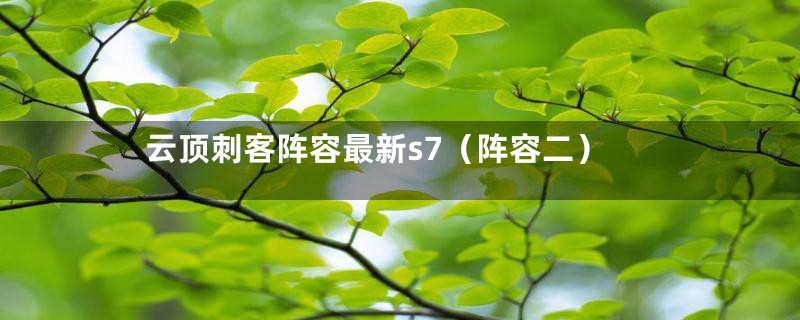 云顶刺客阵容最新s7（阵容二）