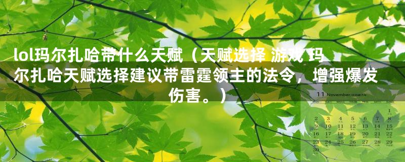 lol玛尔扎哈带什么天赋（天赋选择 游戏 玛尔扎哈天赋选择建议带雷霆领主的法令，增强爆发伤害。）