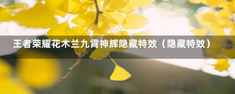 王者荣耀花木兰九霄神辉隐藏特效（隐藏特效）