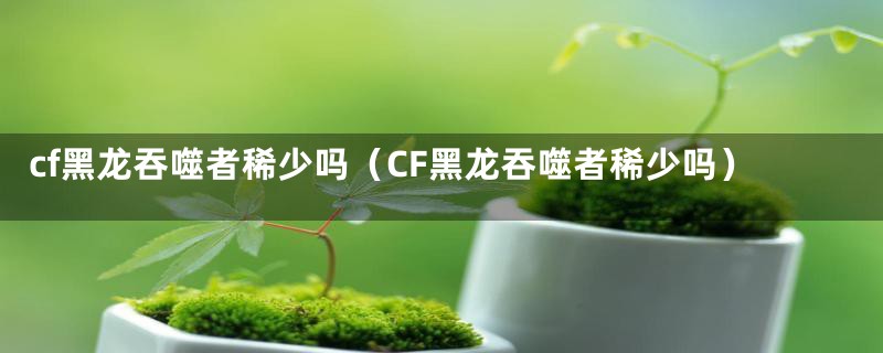 cf黑龙吞噬者稀少吗（CF黑龙吞噬者稀少吗）