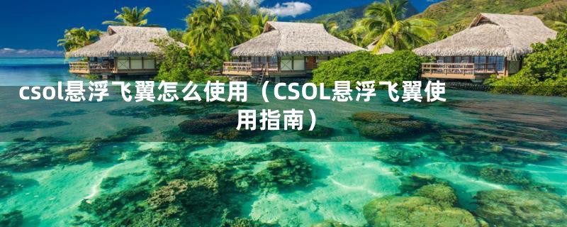 csol悬浮飞翼怎么使用（CSOL悬浮飞翼使用指南）