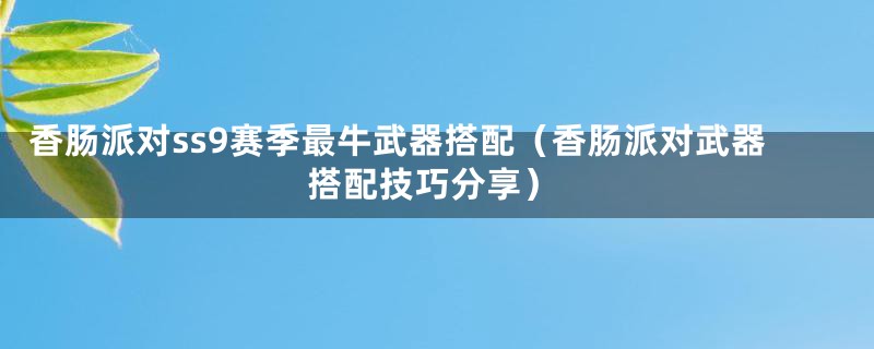 香肠派对ss9赛季最牛武器搭配（香肠派对武器搭配技巧分享）