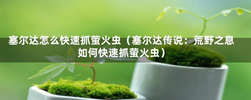 塞尔达怎么快速抓萤火虫（塞尔达传说：荒野之息如何快速抓萤火虫）