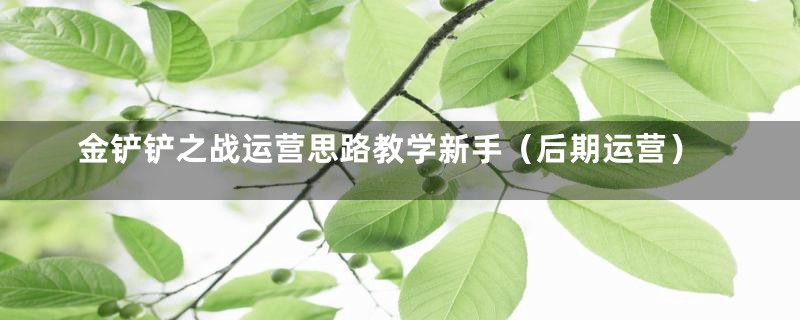 金铲铲之战运营思路教学新手（后期运营）