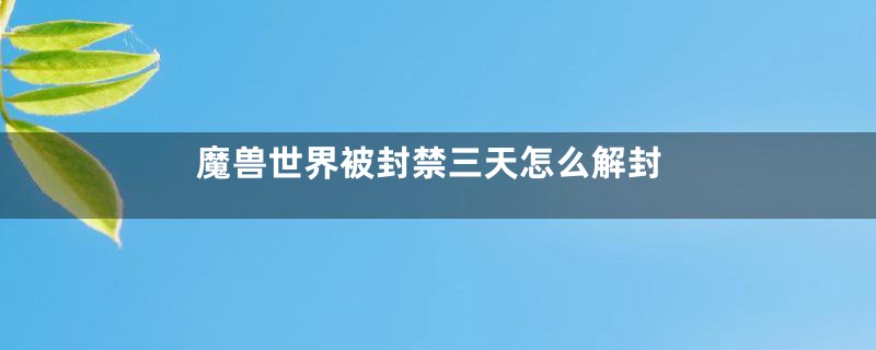 魔兽世界被封禁三天怎么解封