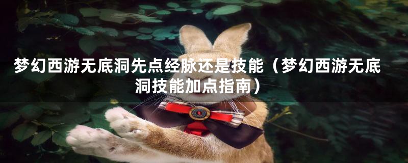 梦幻西游无底洞先点经脉还是技能（梦幻西游无底洞技能加点指南）