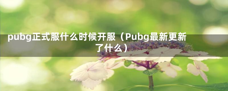 pubg正式服什么时候开服（Pubg最新更新了什么）