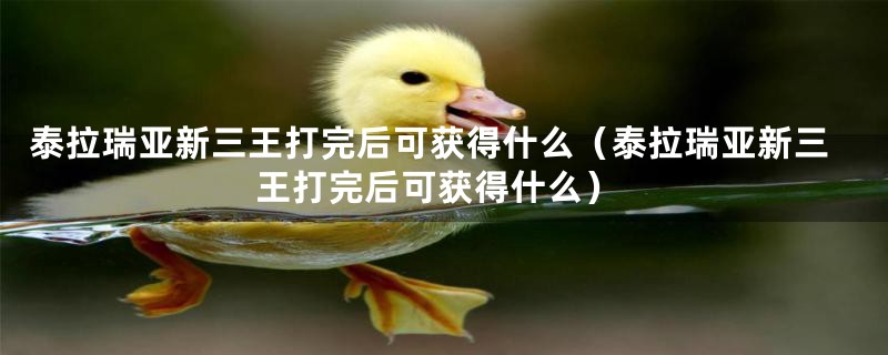 泰拉瑞亚新三王打完后可获得什么（泰拉瑞亚新三王打完后可获得什么）